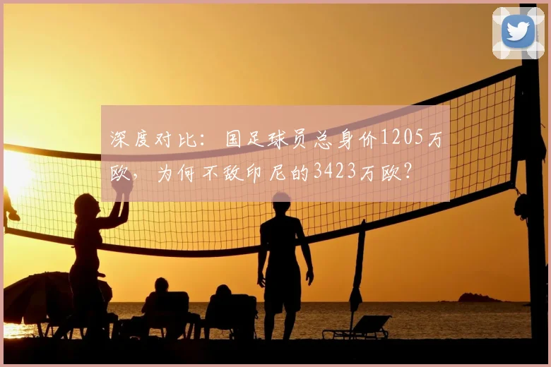 深度对比:国足球员总身价1205万欧,为何不敌印尼的3423万欧?