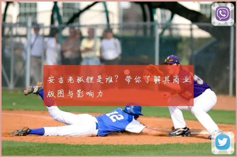 安吉老狐狸是谁？带你了解其商业版图与影响力