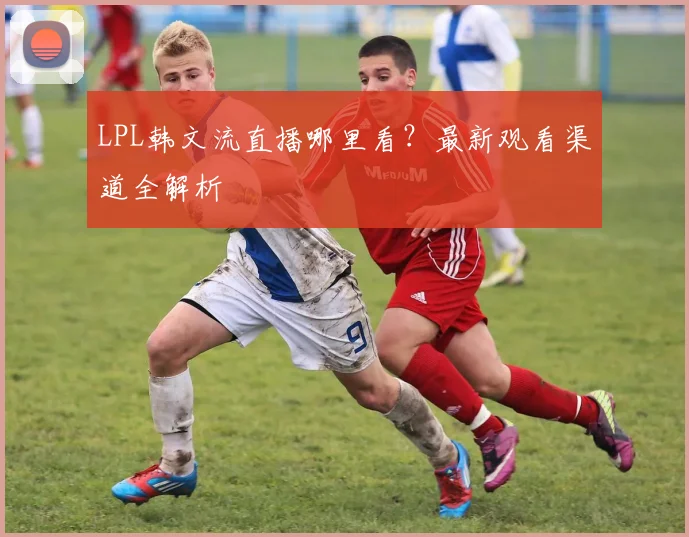 LPL韩文流直播哪里看？最新观看渠道全解析