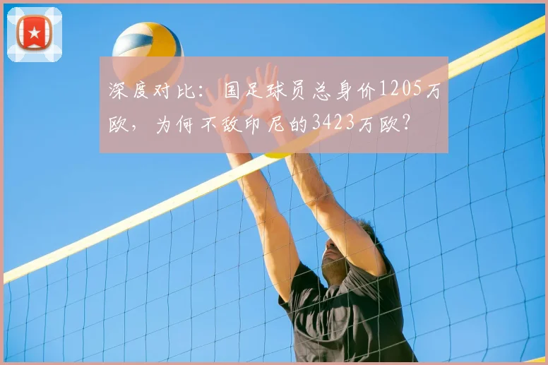 深度对比:国足球员总身价1205万欧,为何不敌印尼的3423万欧?