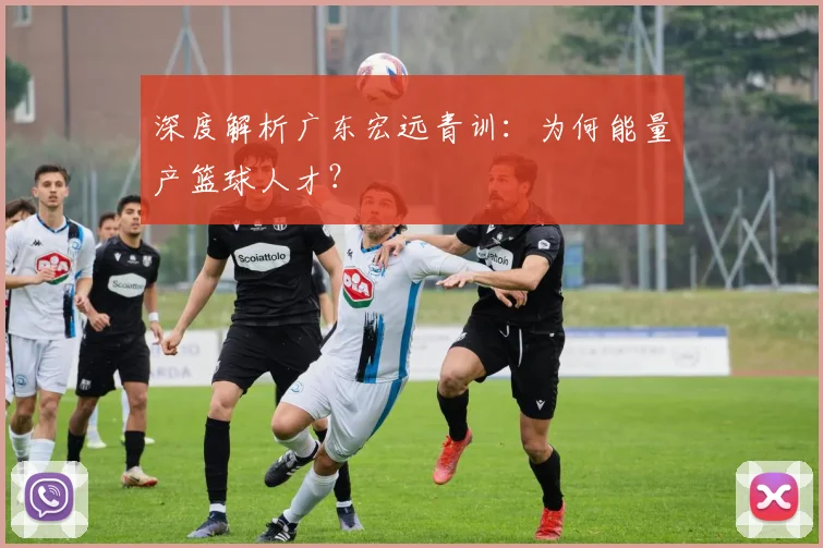 深度解析广东宏远青训：为何能量产篮球人才？