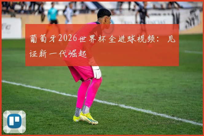 葡萄牙2026世界杯全进球视频：见证新一代崛起